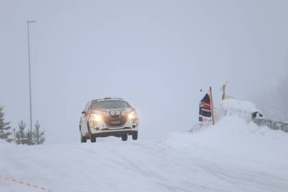SNH_3490.JPG